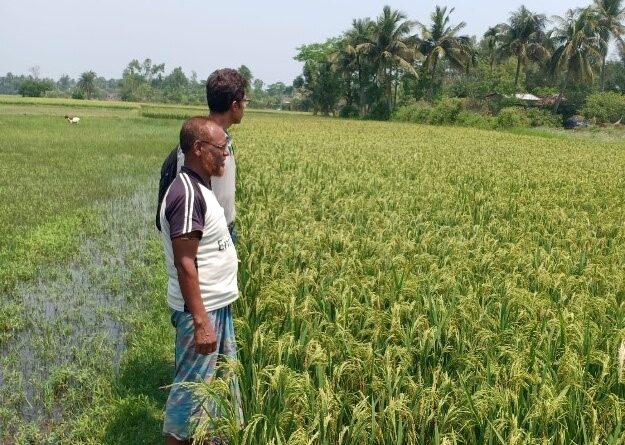 Green-Fields-for-Biofuel